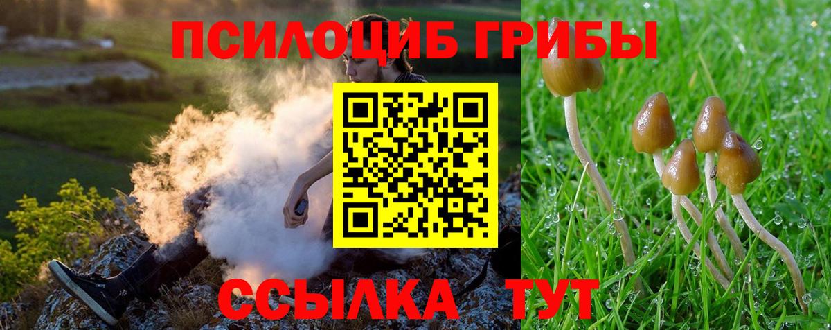 купить закладку  Галлюциногенные грибы MAGIC MUSHROOMS  Вход с VPN  Щёкино  Псилоцибиновые грибы MAGIC MUSHROOMS 